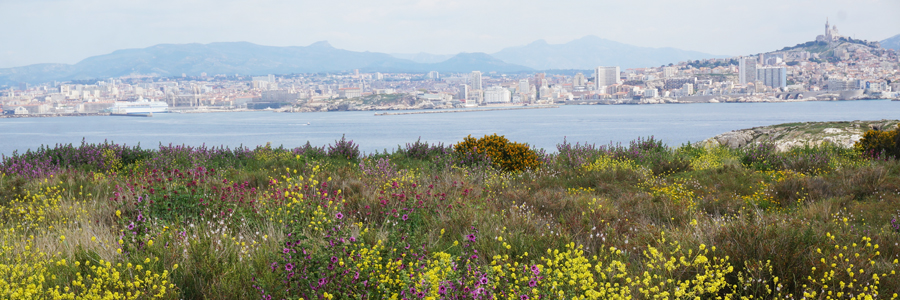 photo: Sébastien Manya