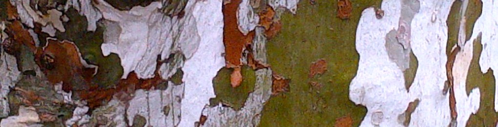 Photo: Sébastien Manya