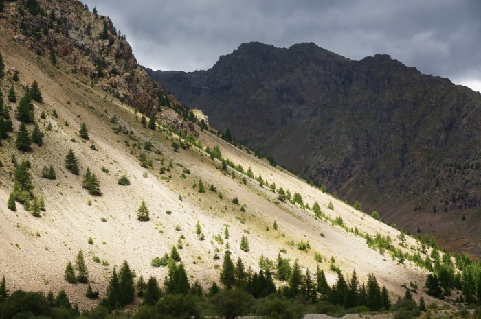 Photo: Sébastien Manya