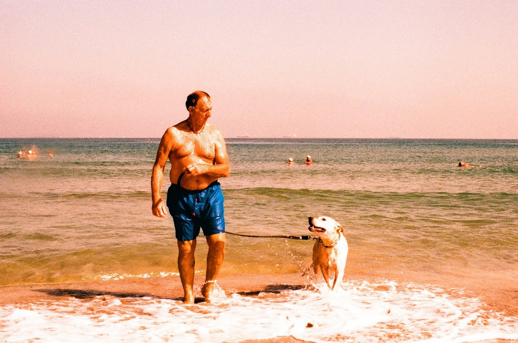 Photo/ David Elalouf