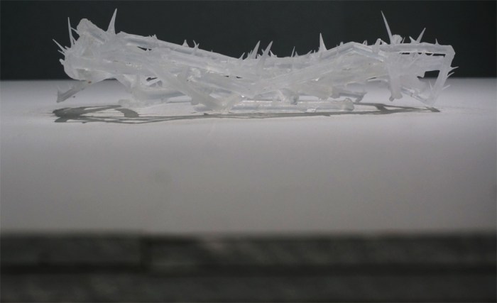 Photo: Sébastien Manya