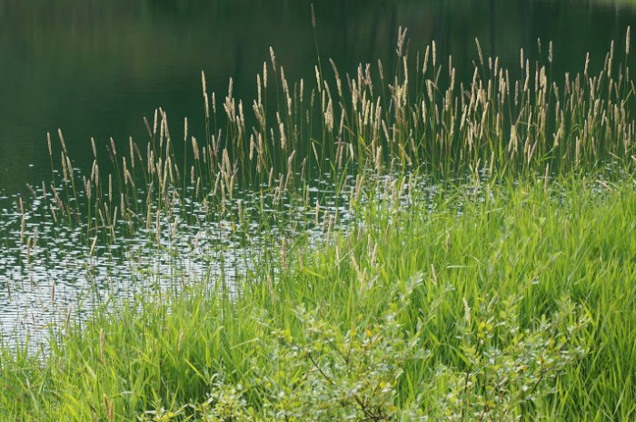 Photo: Sébastien Manya