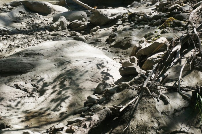 Photo/ Sébastien Manya