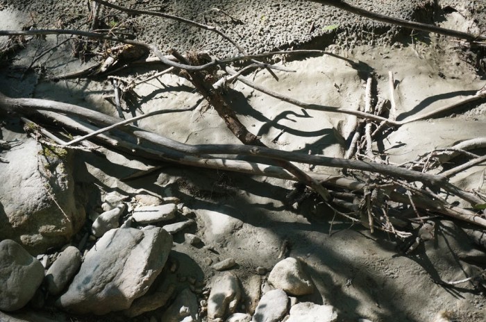 Photo: Sébastien Manya