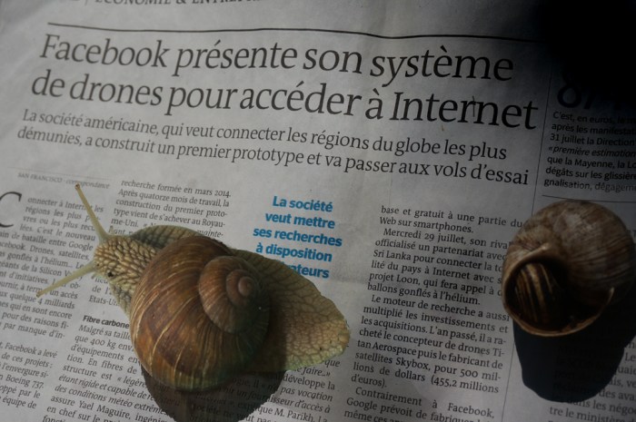 Les escargots et l'Internet