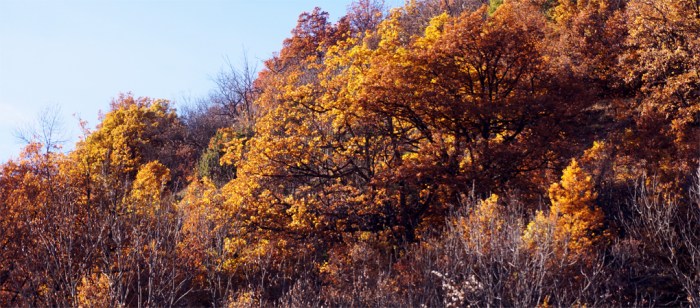 Vallouise-Le Villard. 30 Octobre 2015