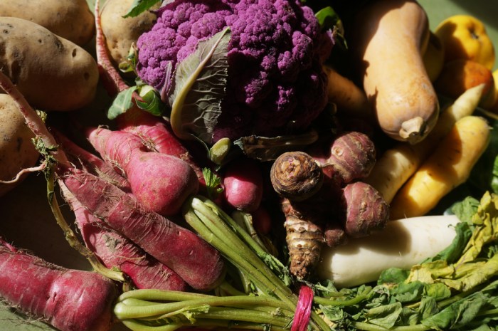 Marché de Vallouise, 12 novembre 2015