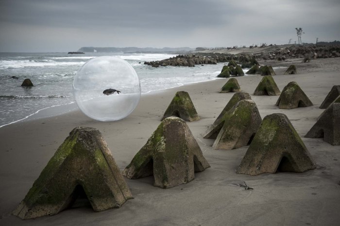 fukush1_original_mauvais-reves-guillaume-bression-carlos-ayesta-1-jpg