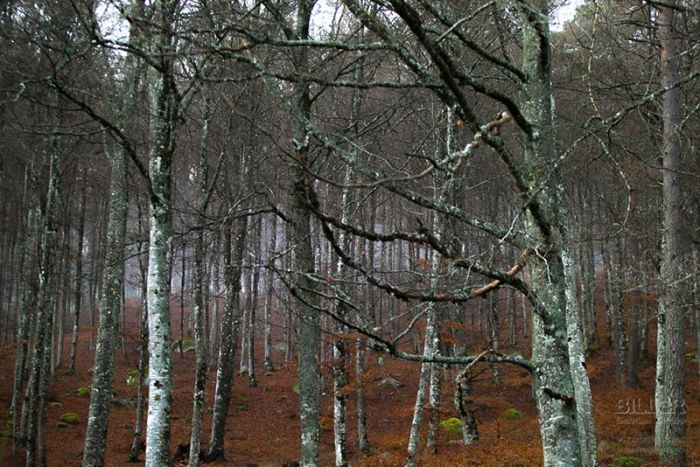 12647390_10208506476397380_3258343887780943890_n